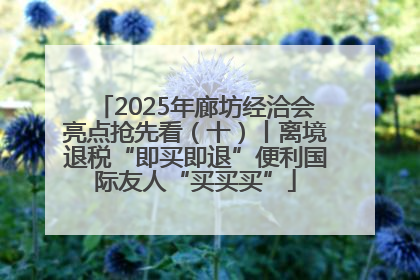 2025年廊坊经洽会亮点抢先看（十）丨离境退税“即买即退”便利国际友人“买买买”