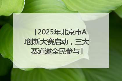 2025年北京市AI创新大赛启动，三大赛道邀全民参与