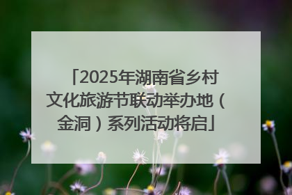 2025年湖南省乡村文化旅游节联动举办地（金洞）系列活动将启