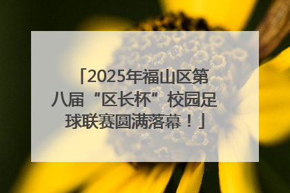 2025年福山区第八届“区长杯”校园足球联赛圆满落幕！