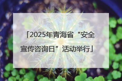 2025年青海省“安全宣传咨询日”活动举行