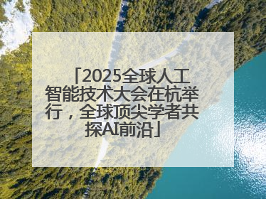 2025全球人工智能技术大会在杭举行，全球顶尖学者共探AI前沿