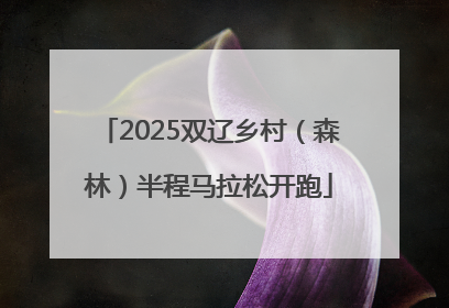 2025双辽乡村（森林）半程马拉松开跑