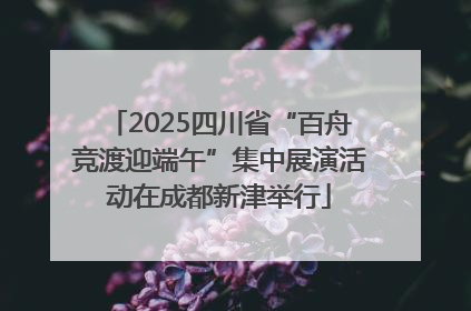 2025四川省“百舟竞渡迎端午”集中展演活动在成都新津举行