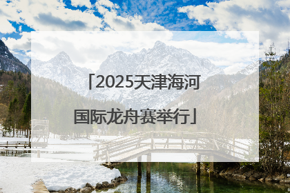 2025天津海河国际龙舟赛举行