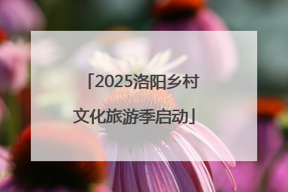 2025洛阳乡村文化旅游季启动