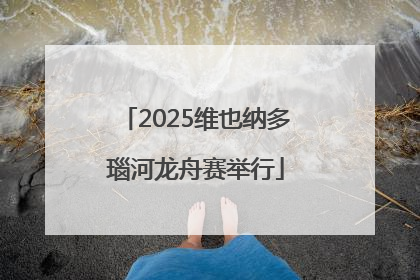 2025维也纳多瑙河龙舟赛举行