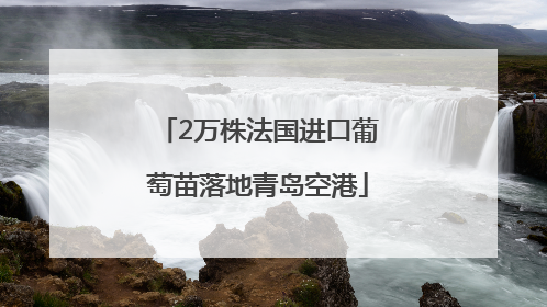 2万株法国进口葡萄苗落地青岛空港
