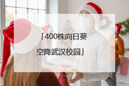 400株向日葵空降武汉校园