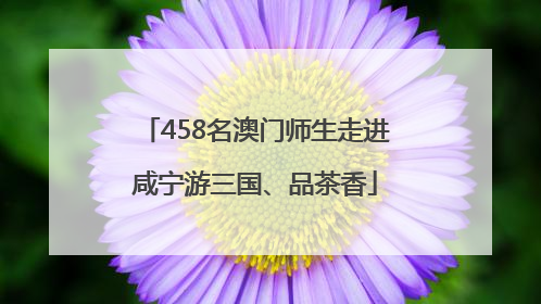 458名澳门师生走进咸宁游三国、品茶香