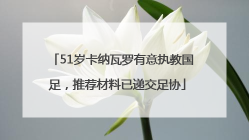 51岁卡纳瓦罗有意执教国足，推荐材料已递交足协