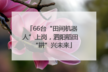 66台“田间机器人”上岗，泗阳稻田“耕”兴未来
