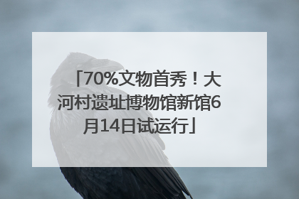 70%文物首秀！大河村遗址博物馆新馆6月14日试运行