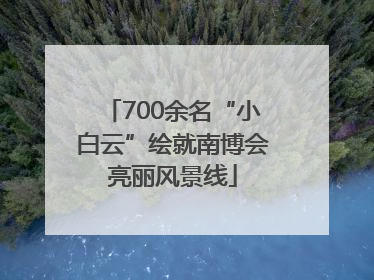 700余名“小白云”绘就南博会亮丽风景线