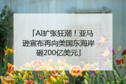 AI扩张狂潮！亚马逊宣布再向美国东海岸砸200亿美元