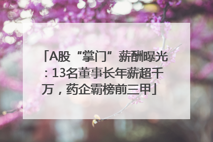 A股“掌门”薪酬曝光：13名董事长年薪超千万，药企霸榜前三甲