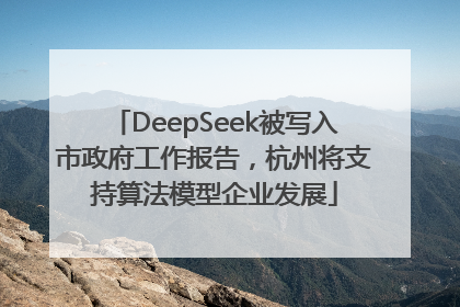 DeepSeek被写入市政府工作报告，杭州将支持算法模型企业发展