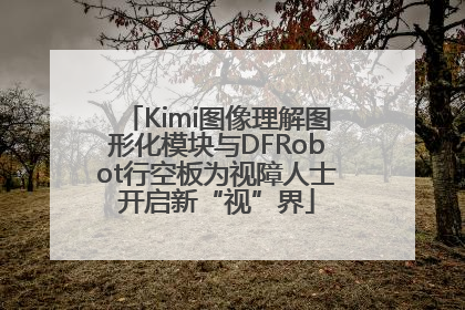 Kimi图像理解图形化模块与DFRobot行空板为视障人士开启新“视”界