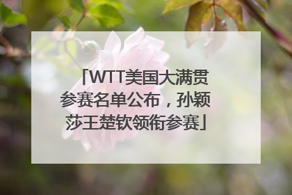 WTT美国大满贯参赛名单公布，孙颖莎王楚钦领衔参赛
