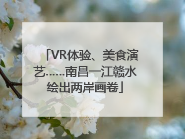 VR体验、美食演艺……南昌一江赣水绘出两岸画卷